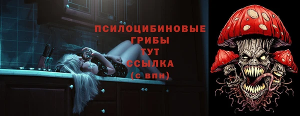 соль курить ск Гусиноозёрск