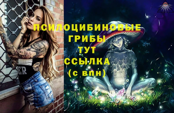 гидропоника Михайловск
