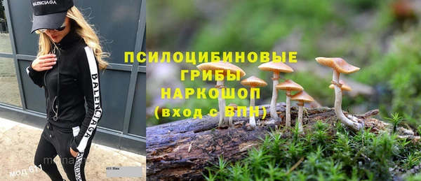 таблы Медногорск