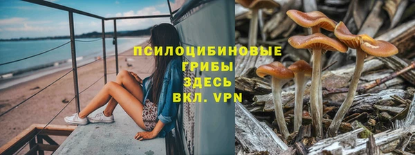 ГАЛЛЮЦИНОГЕННЫЕ ГРИБЫ Михайловка