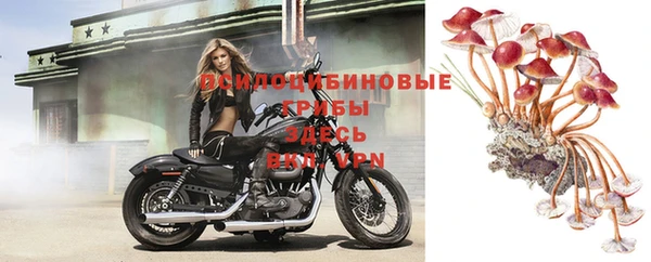 mdpv Гусев