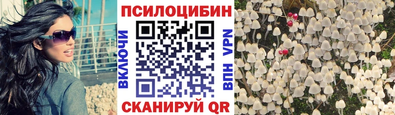 магазин наркотиков Питкяранта Псилоцибиновые грибы ЛСД